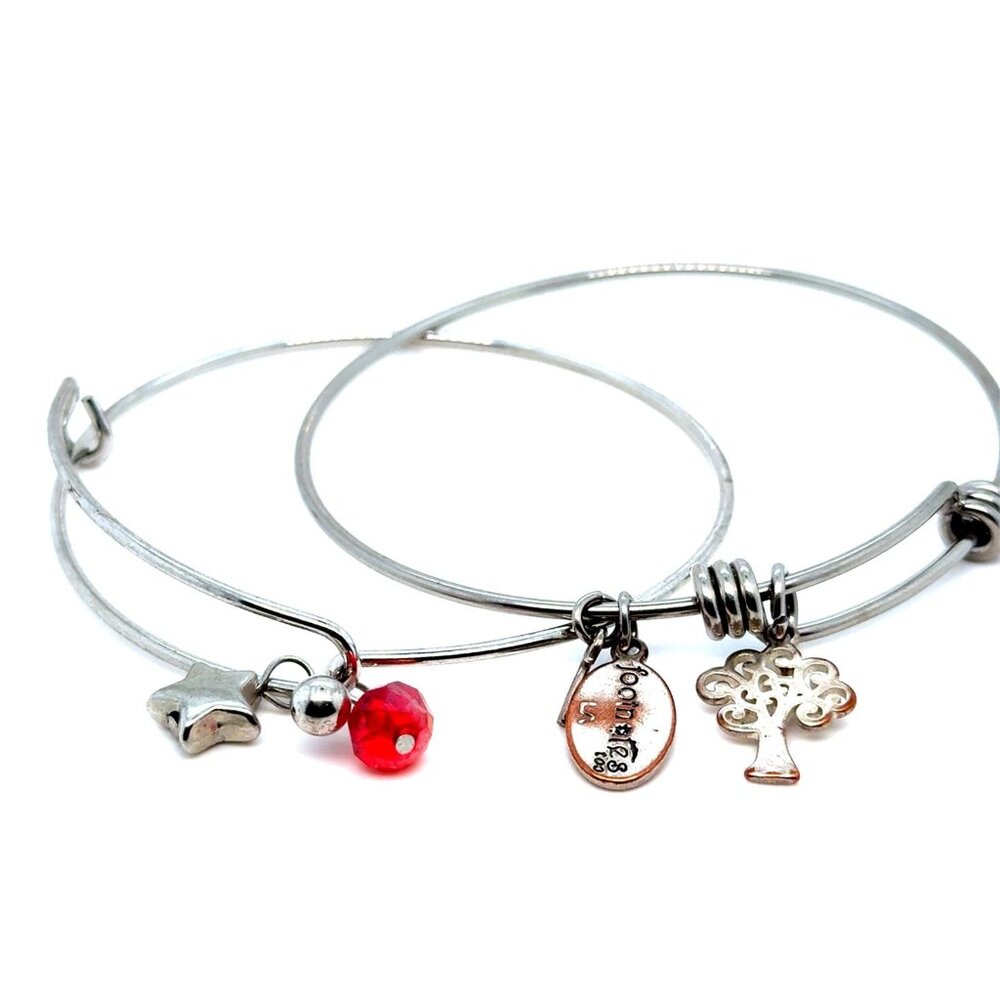 2 Charm Bangle Bracelets (c1)‎